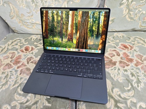 Apple MacBook Air 13" M4 10/8c 16GB 256GB - 100% Batt 51 Cycles - Excellent