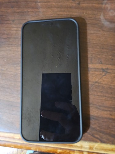 Apple iPhone 13 Pro Max - 128 GB - Graphite (Unlocked)