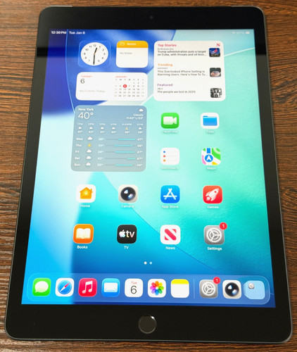 Apple iPad (9th Gen) 64GB Wi-Fi + 4G LTE Cellular Silver 87% Batt Excellent Used