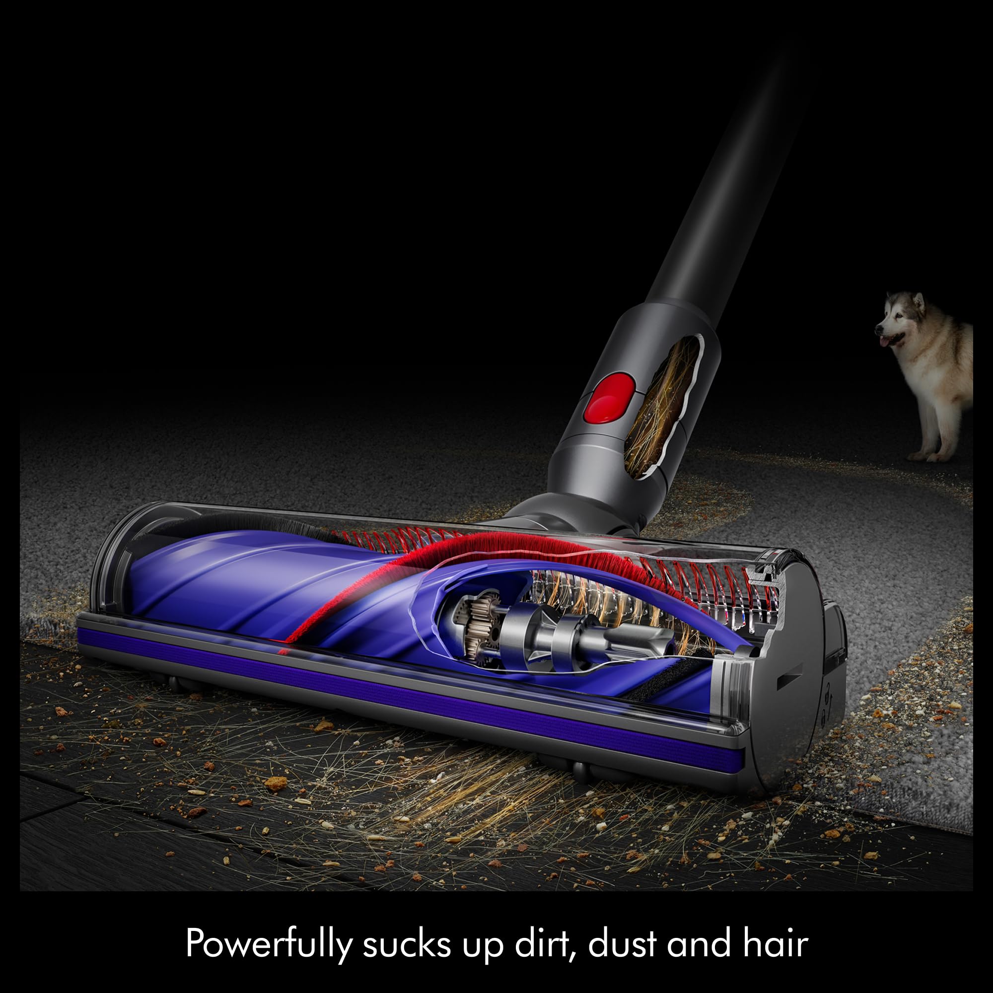 Cyclone V10 Origin Cordless Vacuum thumbnail 9